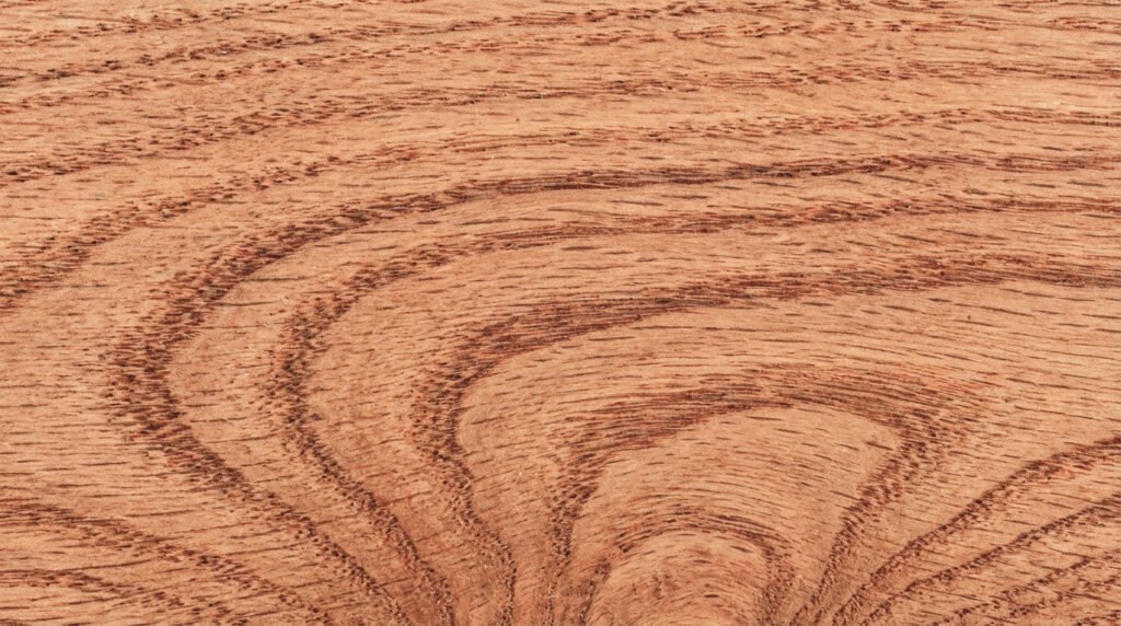 אלון אדום אמריקאי