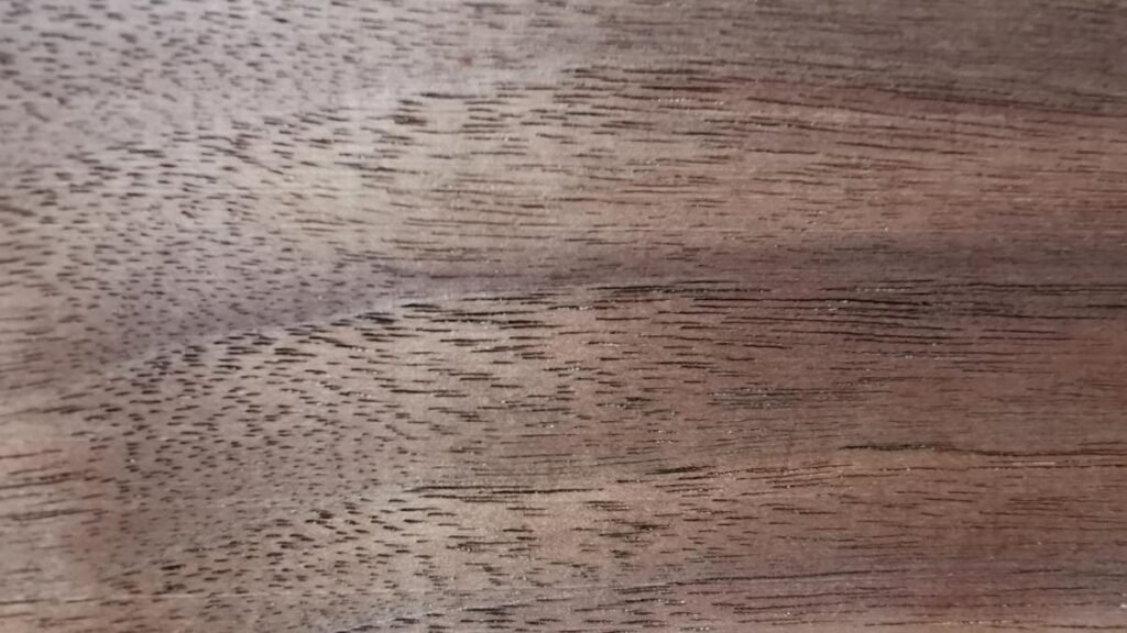 עץ אגוז אמריקאי