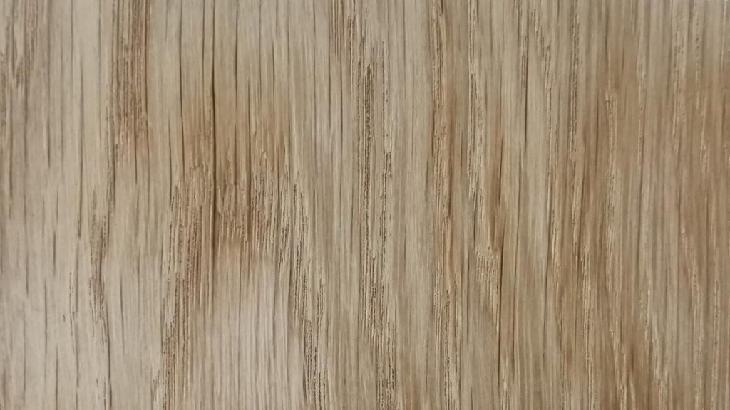 אלון לבן אירופאי